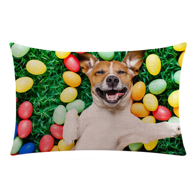 

〖Follure〗Cute Cat Dog Animal Sofa Bed Home Decoration Festival Pillow Case Cushion Cover