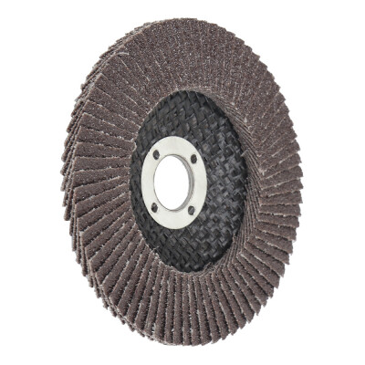 

20pcs Aluminum Oxide Flap Discs Sanding Wheels