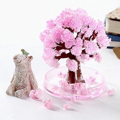 

Crystal Growing Sakura Paper Tree Cherry Novelty Toy Christmas Present Creative Toy