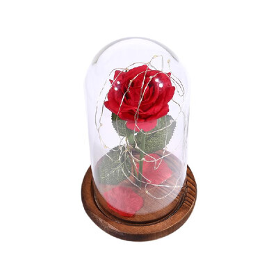 

Stimulation Rose Flower LED String Light with Glass Cover Remote Control 8 Modes Party Wedding Birthday Anniversary Gift
