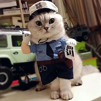 

Funny Pet Dog Cat Clothes Pet Costume Halloween Uniform Clothes Doctor Policeman Cowboy Pirate Outfit For Small Medium Dog