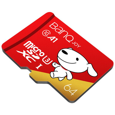

BANQ U3 C10 A1 64G memory card