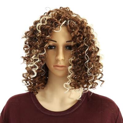 

Kinky Curly Afro Wig 26" Long Kinky Curly Wigs for Women