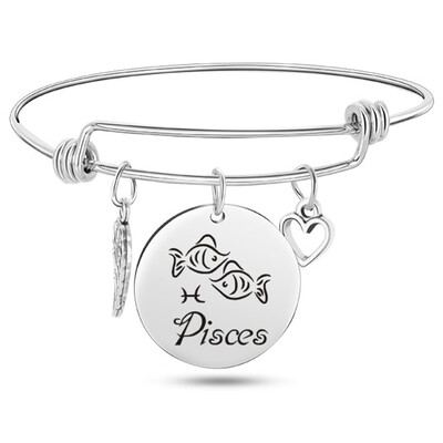 

12 Constellation Wire Stainless Steel Bracelet Birthstone Bangle Bracelets Charm Bracelet