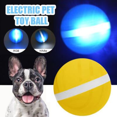 

Waterproof Kid Toy Magic Roller Ball Jumping Ball USB Electric Pet Ball LED Rolling Flash Ball Fun Toy For Cat Dog Kids