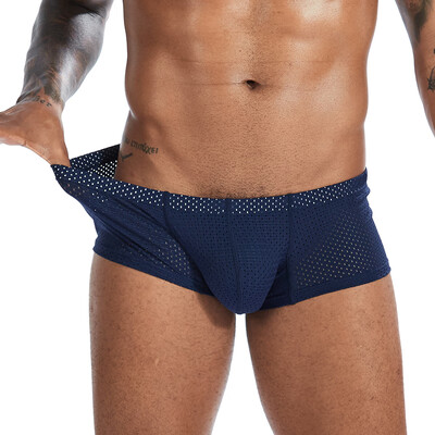 

Men Mesh Lingerie Boxer Briefs Trunks Low Rise Elastic Waist Plus Size Underwear