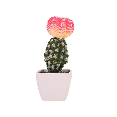 

Gobestart Simulated Potted Cactus Artificial Green Plant Potted Flower Art Home Decor
