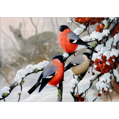 

〖Follure〗5D Embroidery Paintings Rhinestone Pasted DIY Diamond Painting Cross Stitch