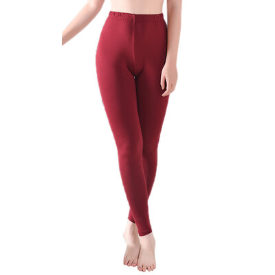 

Toponeto Breathable Large Size Womens Pants High Elastic Modal Cotton Pants Skin Car