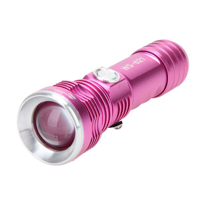 

2 in 1 CREE Q5 White Light UV Blacklight 800Lumen 4 Modes Flashlight Torch