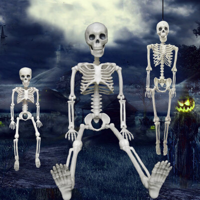 

Halloween horror props People skeleton haunted house secret room horror dry corpse plastic skeleton Human Halloween