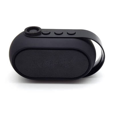 

Bluetooth Audio Speaker Support Bluetooth 40 TF Card USB FM AUX Function mini Speakers for Smatrphone PC Computer