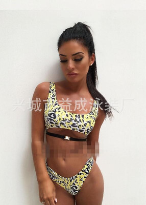 

2019 new swimsuit European&American womens sexy split bikini color leopard print bikinii Pink