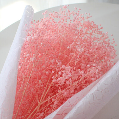 

FUNNYBUNNY Dried Babys Breath Flower Dried Gypsophila Dried Wheat Stalks Natural Babys Breath