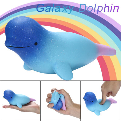 

Siaonvr Squishies Cute Galaxy Dolphin Toy Slow Rising Fruits Scented Stress Relief Toys