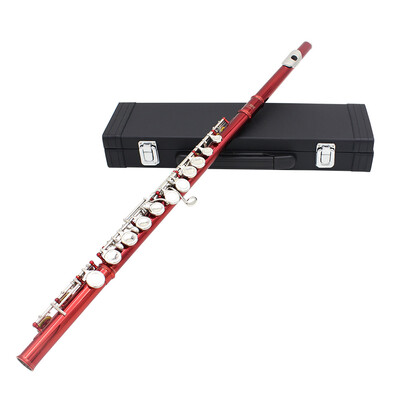 

Western Concert Flute Cupronickel Plated Silver 16 Holes C Key Woodwind Instrument with Cleaning Cloth Stick Gloves Mini Screwdriv