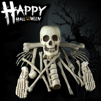 

Toponeto Halloween Props Party Decoration Human Skull Skeleton Anatomical