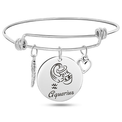 

12 Constellation Wire Stainless Steel Bracelet Birthstone Bangle Bracelets Charm Bracelet