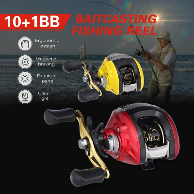 

101 BB Ball Bearing 631 Bait Casting Fishing Reel One-way Clutch Baitcasting Reel LeftRight Hand Fishing Reel