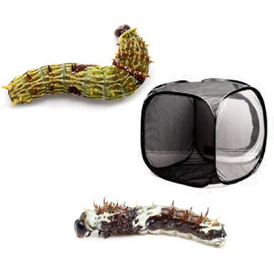

Siaonvr Portable Foldable Insect And Butterfly Habitat Cage Housing Enclosure