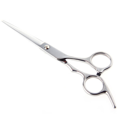 

Professional Stainless Steel Hair Scissors Salon Cutting Thinning Hairdressing Shears