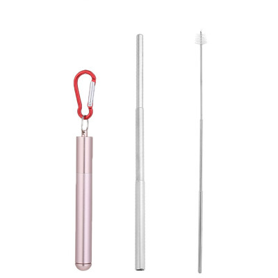 

Portable Reusable Drinking Telescopic Stainless Steel Straws Sets Carabiner