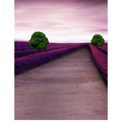 

Purple Sky Photo Backdrop 57FT Vinyl Fabric Cloth Digital Printing for Kids Birthday Photo Background s-2402