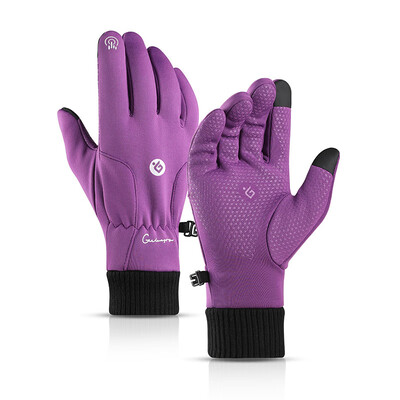 

Winter Warm Windproof Waterproof Anti-slip Thermal Touch Screen Bike Ski Gloves