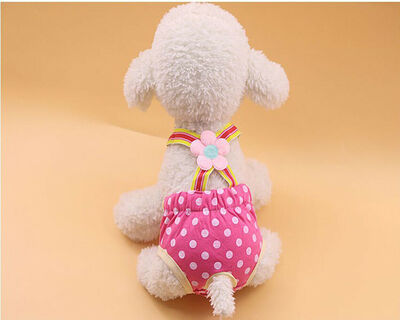 

Female Dog Shorts Puppy Physiological Pant Diaper Pet Underwear For Girl Dogs