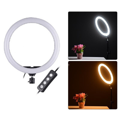 

Compact Size LED Video Ring Light Fill-in Lamp 24W Dimmable 2700-5500K Color Temperature with Smartphone Holder 2pcs Ball Heads fo