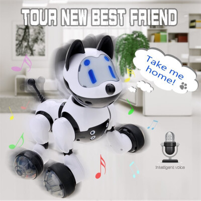 

Voice Recognition Intelligent Electronic Toy Dog Puppy Music Shine Action Toy