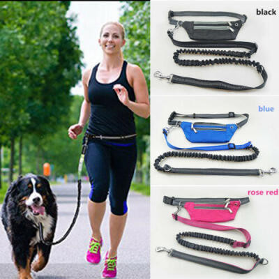 

Hands Free Dog Leash With Accessory Pouch Phone Bag For Walking Running Hiking X