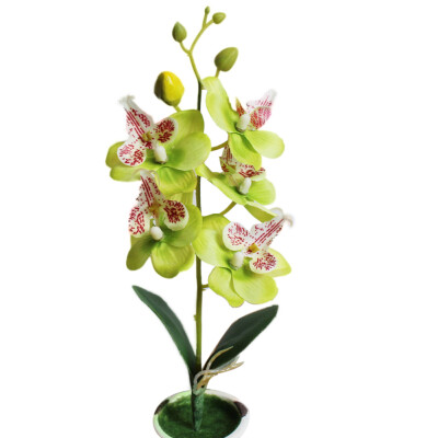 

1Pc Artificial Flower Butterfly Orchid Garden DIY Stage Party Home Wedding Decor