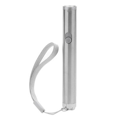 

Portable Pet Cat Interactive Laser Pointer Light Pen Playing Training Toys