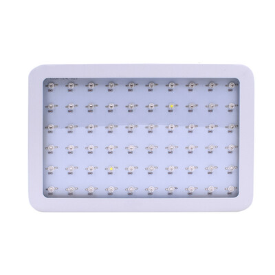 

600W Grow Light Full Spectrum 60 LED Growth Lamp for Greenhouse Hydroponic Plant
