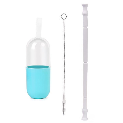 

Portable Collapsible Straws Food Grade Silicone Drinking Straw with Storage Case Cleaning Brush for Traveling Hotel Party Househol