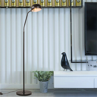 

Siaonvr Gooseneck Floor Lamp Eye LED Bedroom Living Room Study Bedside Fishing Lamp