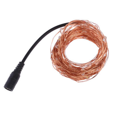 

100 LED String Lights Copper Wire Waterproof Night Light Holiday Lighting