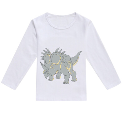 

Toddler Baby Kids Boys Girls Spring Dinosaur Print Tops T-shirt Casual Clothes