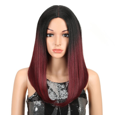 

Noble Ombre Color Straight Hair 18"Inch Lace Front Wig African American Wigs Synthetic Heat Resistant Hair