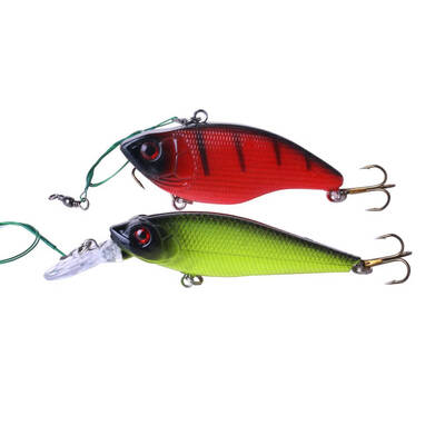 

2Pcs Fishing Lures 3D Eyes Fishing Lures Bait Sea Salt Freshwater Bait Wobbler Random Color