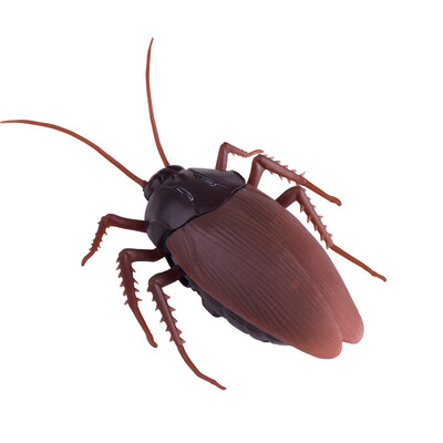 

Infrared Remote Control Simulation Electronic Cockroaches Toy