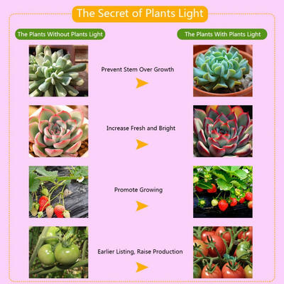 

Greensen 48W LED E27 Hydroponic Plant Grow Light Panel Full Spectrum Indoor Growing Lamp for Greenhouse