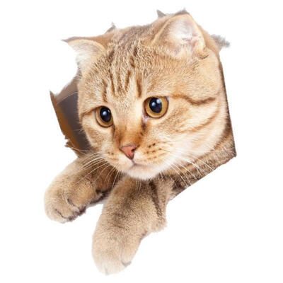 

3D Cat Wall Sticker PVC Self-Adhesive Waterproof Bathroom Toilet Decals