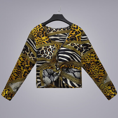 

Starmoon Womens Fashion Long Sleeve V-Neck Leopard Print Tops Shirt