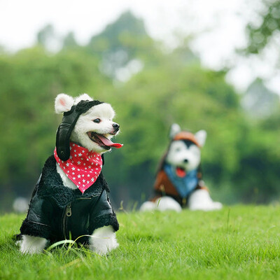 

1PC Fashion Waterproof Fleece Leather Dog Coats Puppy Cool Zipper Jacket Durable Dog Winter Coat for Small Medium Dogs