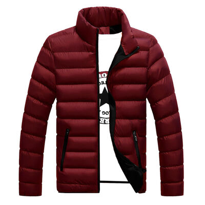 

Mens Packable Duck Down Jacket Winter Warm Stand Collar Overcoat Casual Coat