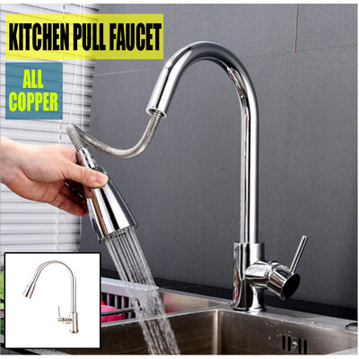 

Single Handle Kitchen Faucet with Pull down Sprayer Stainless Steel Faucet