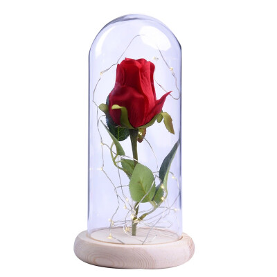 

LED Beauty Rose&Beast Battery Powered Red Flower String Light Desk Lamp Romantic Valentine\s Day Birthday Gift Decoration