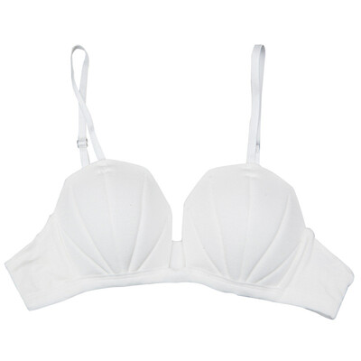 

Fashion Shell Cup Women Sexy Underwear Wire Free Cotton Bra girl underwear Push Up Seamless Lingerie
